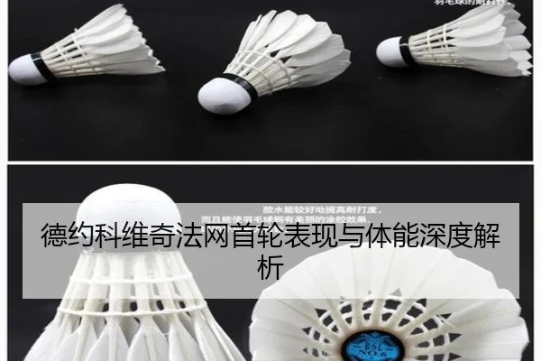 德约科维奇法网首轮表现与体能深度解析